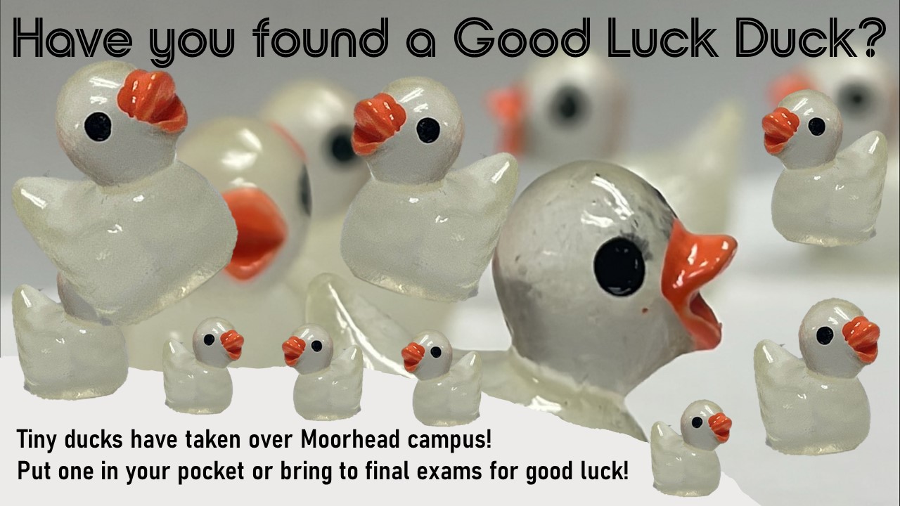Good Luck Ducks