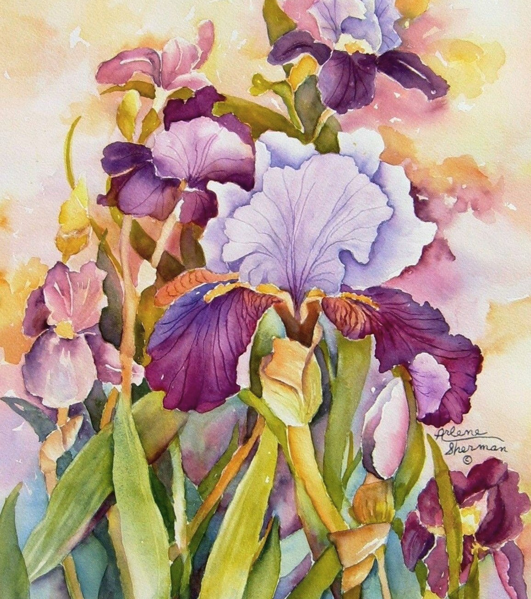 "Blue Iris," by Arlene Sherman