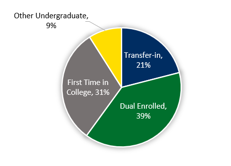Pie graph showing student category percentages