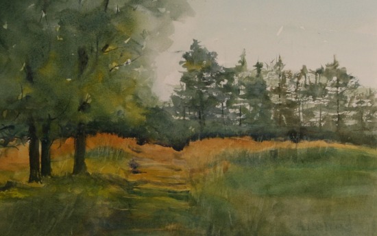'Between Two Lakes,' painting by Deb Connolly