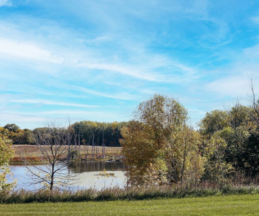 A nature scene with lake and trees in Fergus Falls