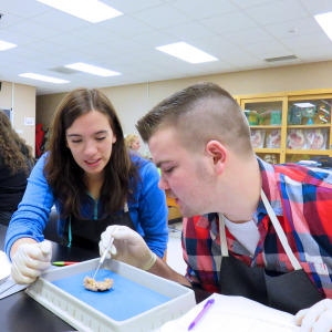 Biological Sciences Web Hero