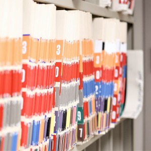 Numbered file folders on an office shelf